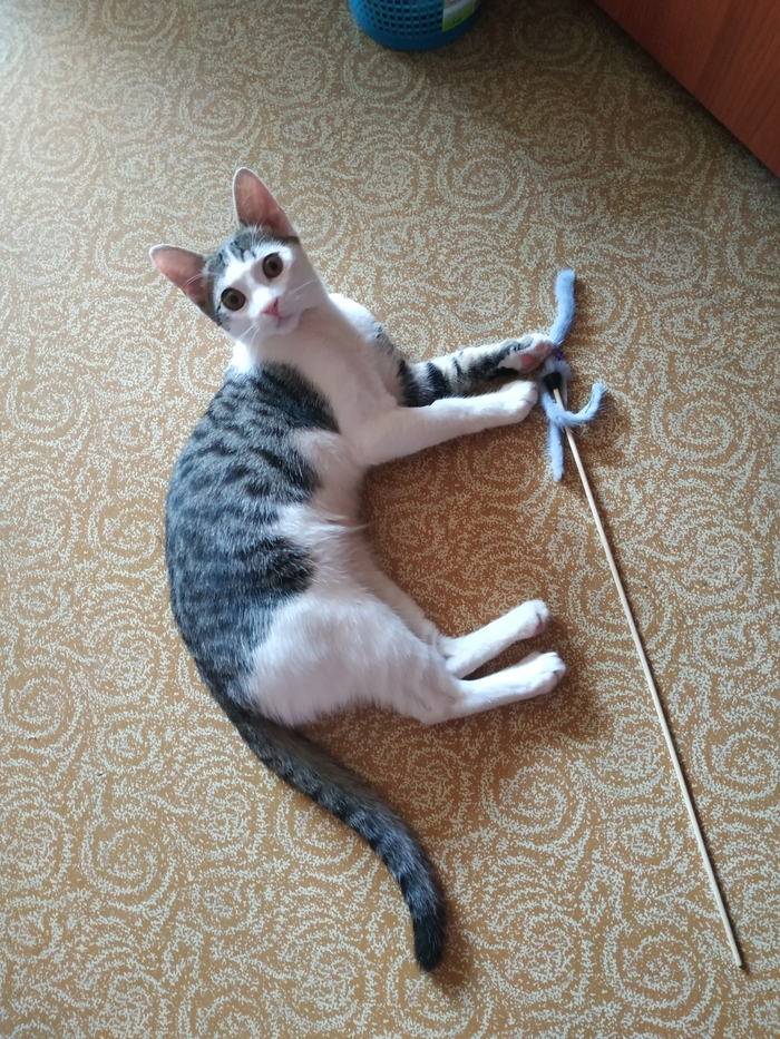  ,  , , 