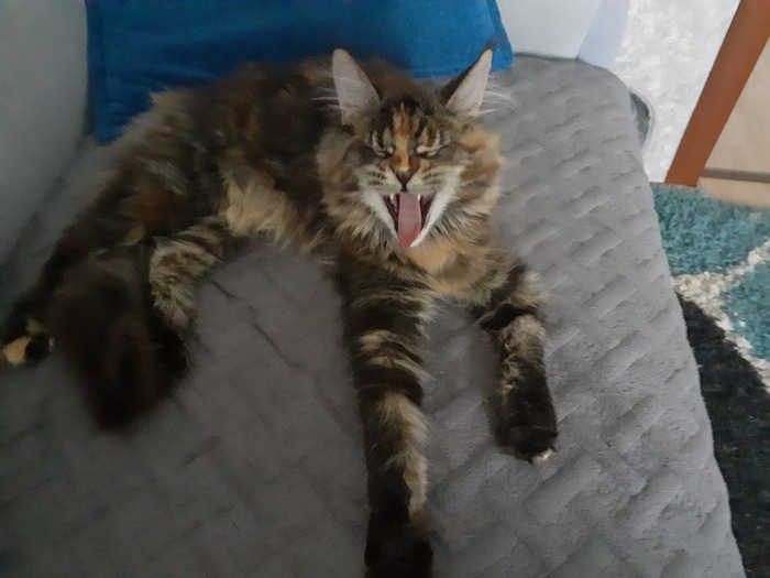     , , , , 
