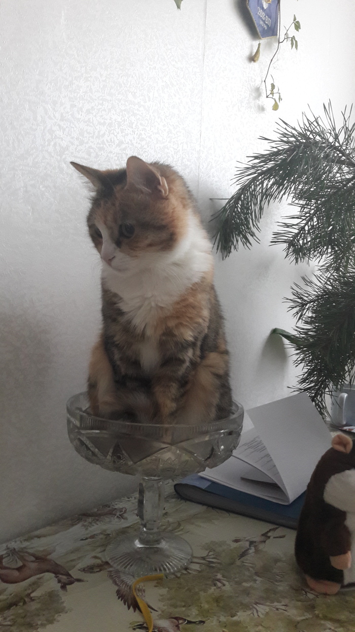 �������� ����� ��������� ��������