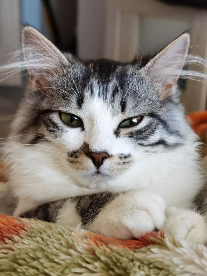 Посмотрите на Вижена