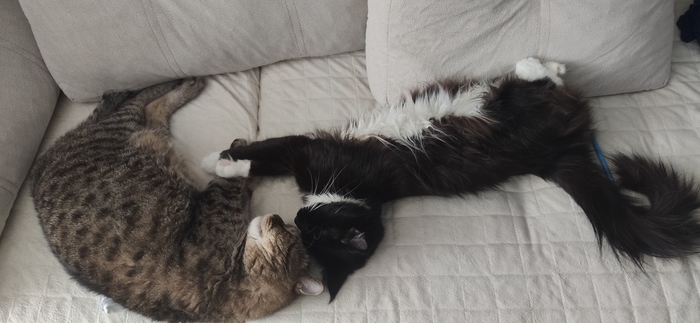 ����� �� ���� ��� ������� ���� - �� ����������