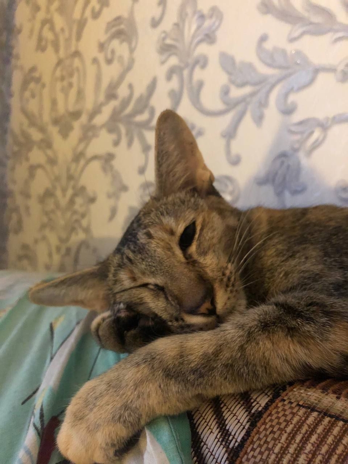 На сон грядущим