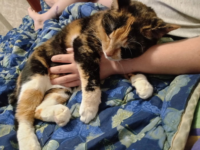 ������ ���� � ��������)