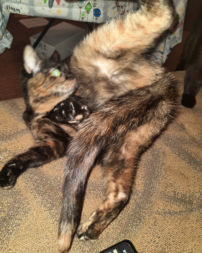 �� ���� �����. ����-������)