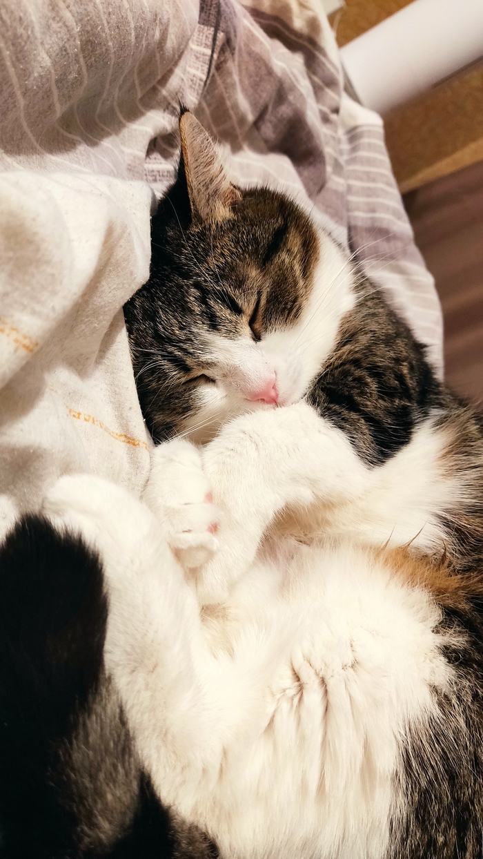 Спит и знает что всё будет хорошо