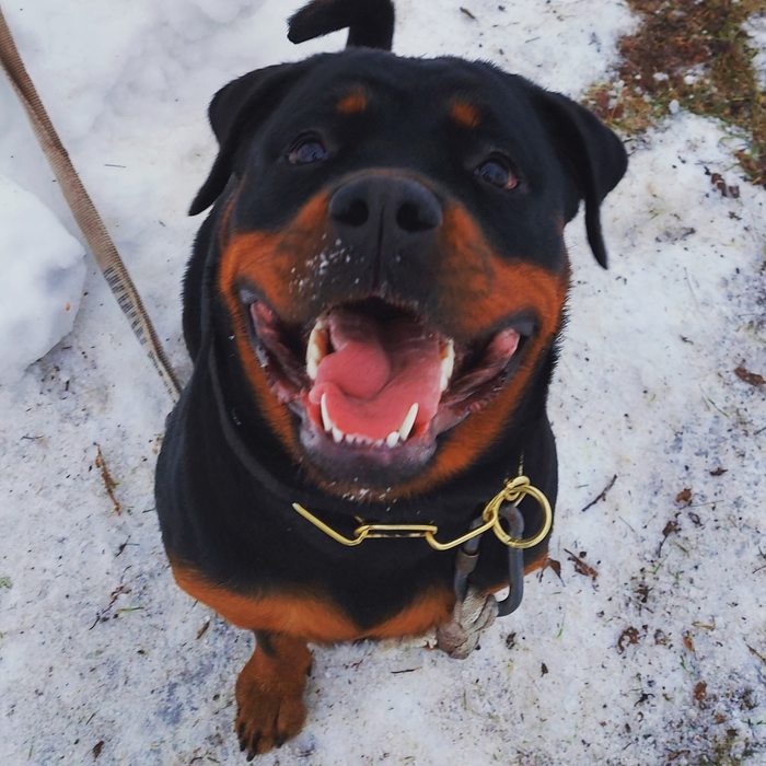  : &quot;   ...&quot;