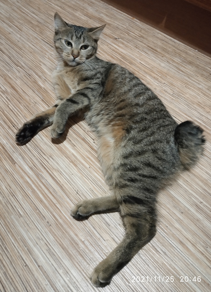 ����� � ����� ��� �������. ���� ��������������