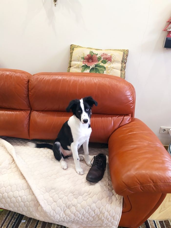 Я планировала немного погрызть