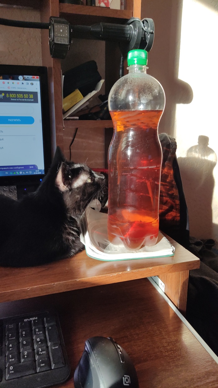 ����� Tukasa � ��� ������� ���� - �� ����������