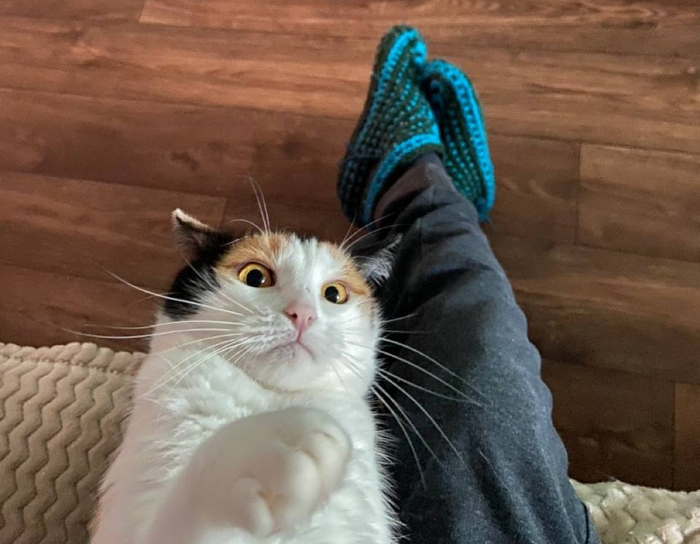 ����� �� ���� ��� ������� ���� - �� ����������
