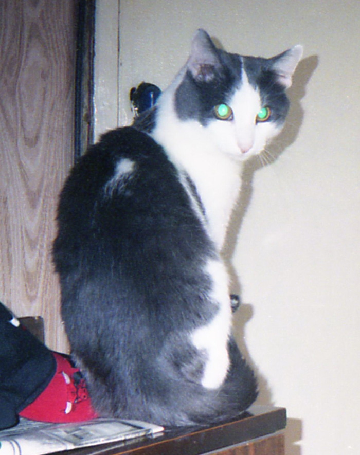 ����� �� ���� ��� ������� ���� - �� ����������