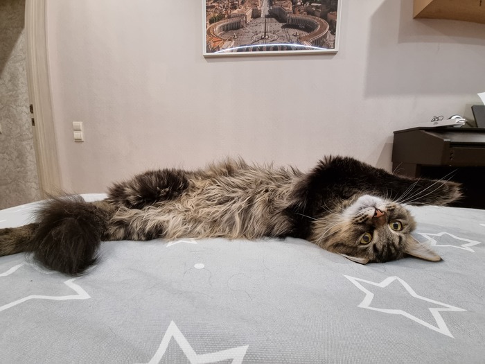 ��� ������, �� �� �������