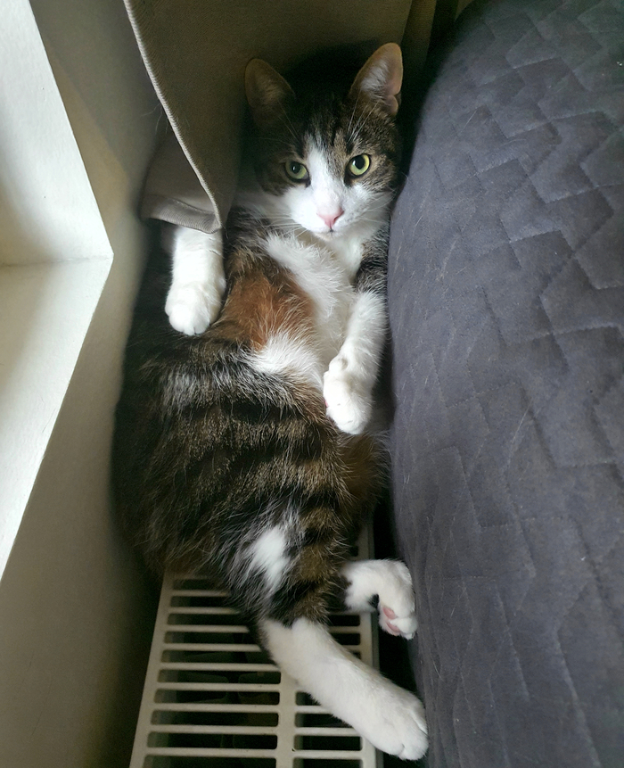 Слышь, признался он...