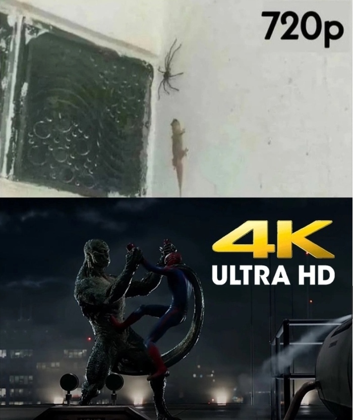 ���� ������ �����