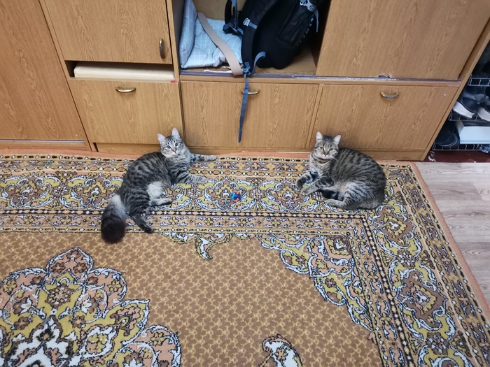  ,     ,  , 