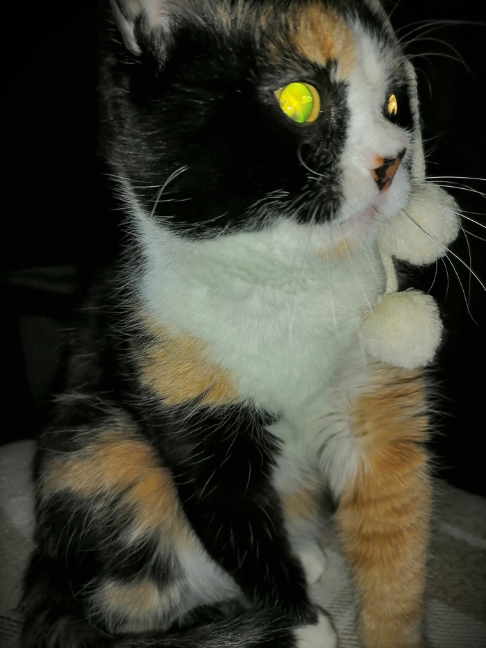      ,    , , ,   , 