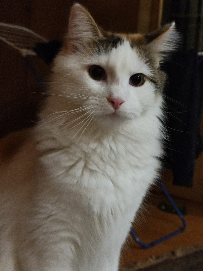 �� �������� ���� - �� �����������