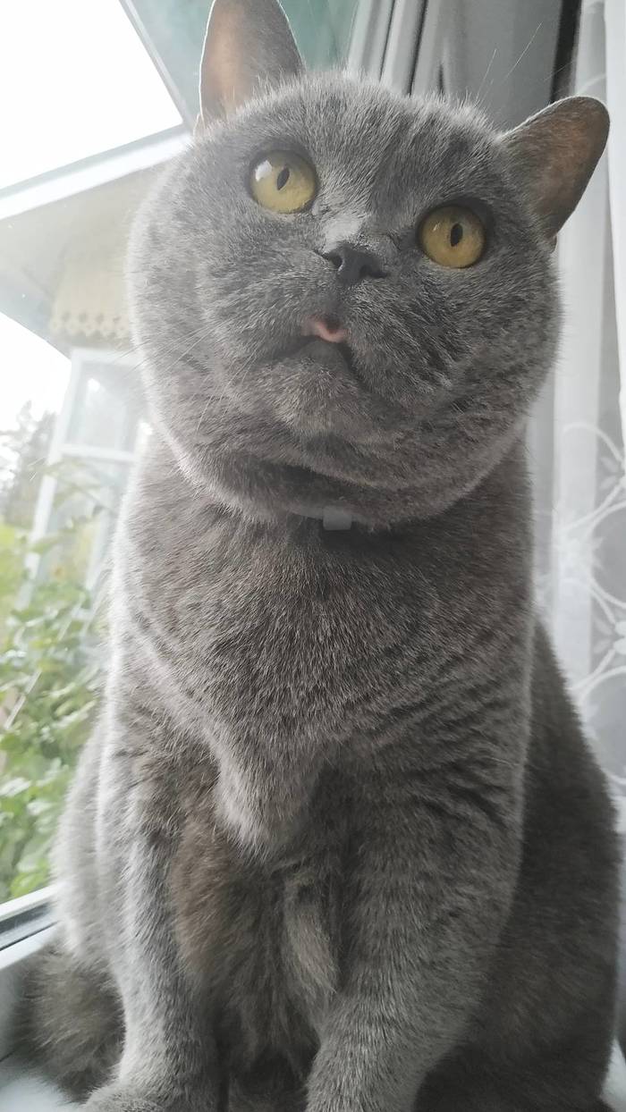 �� �������� �����. Ը���