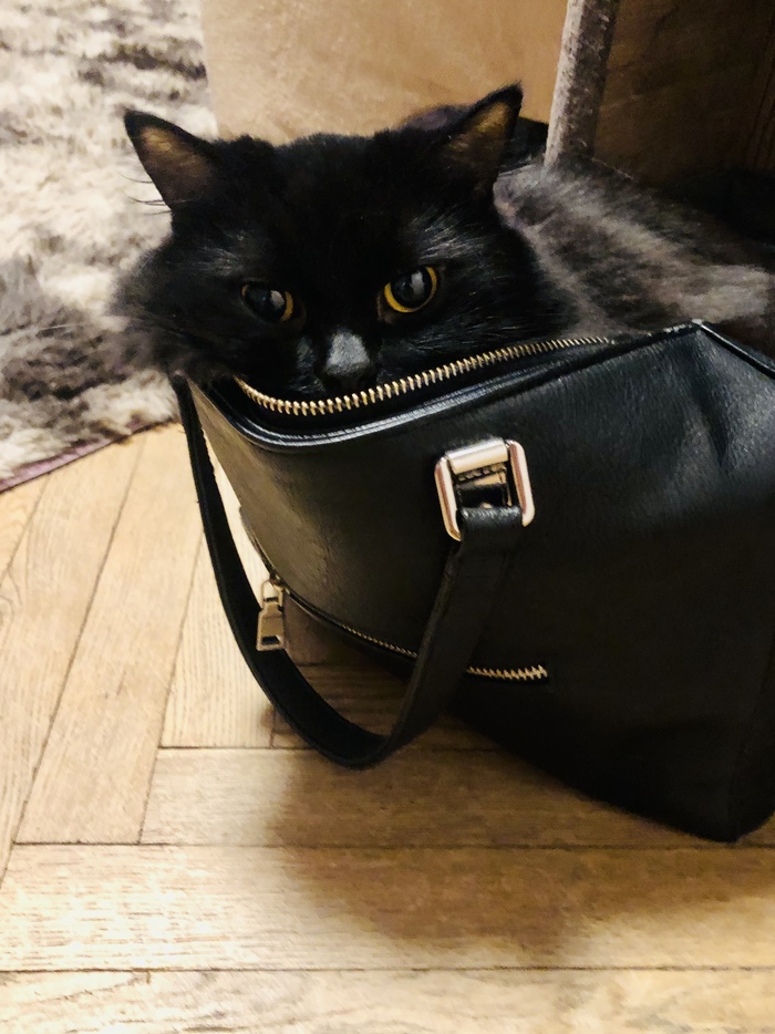 ����� �����