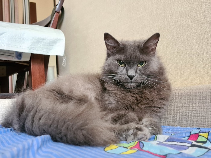 ���� �� ����� ����������, ������ � ����� �������