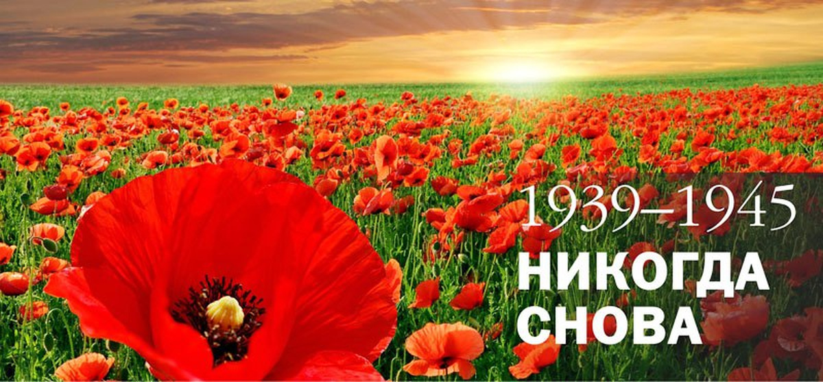 1939-1945 никогда больше. Больше этого никогда. Соскучилась демотиватор. Никому нельзя доверять цитаты. Никогда больше надпись.