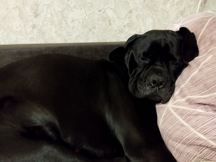 ��� ������, ���� ������� ����� �������!