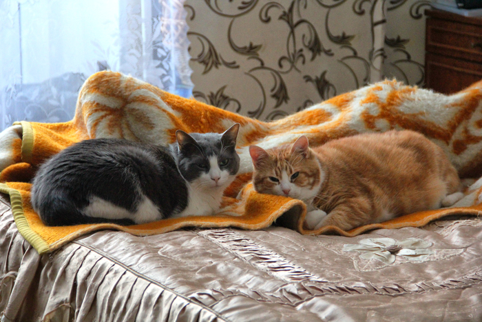 ������� ������ � ����� ������