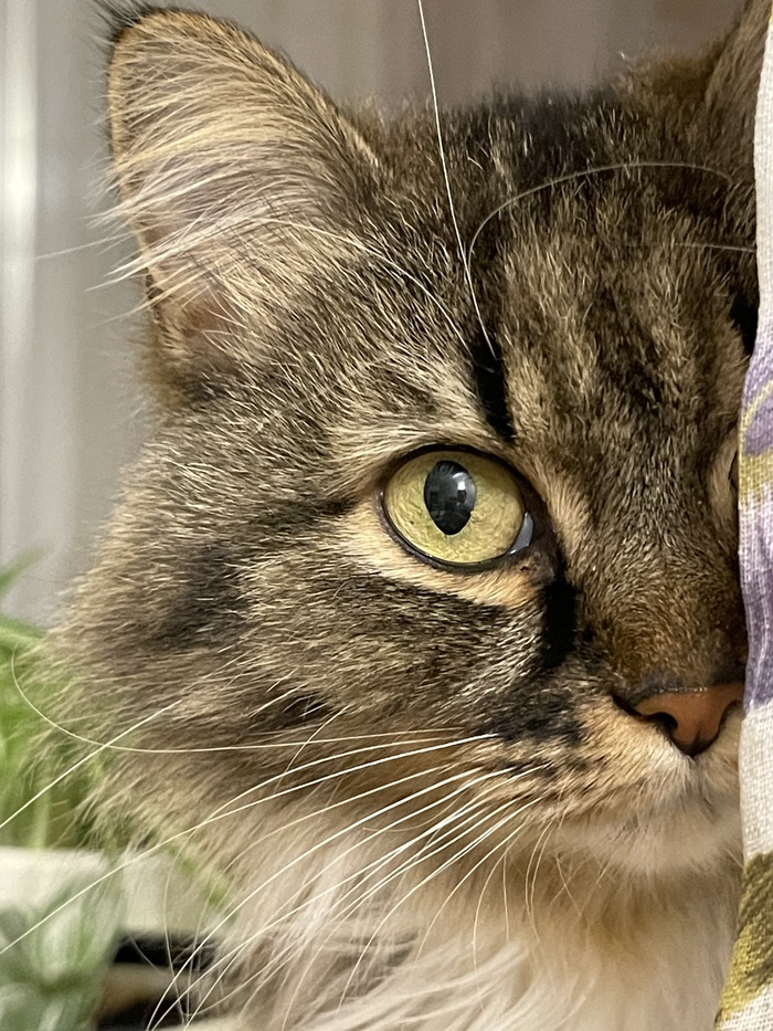 А чем моя хуже?