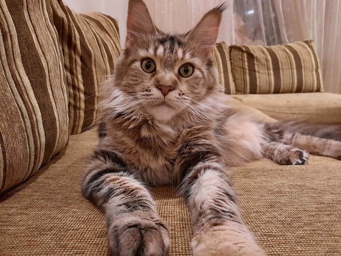 �� ������� ���� - �� ����������