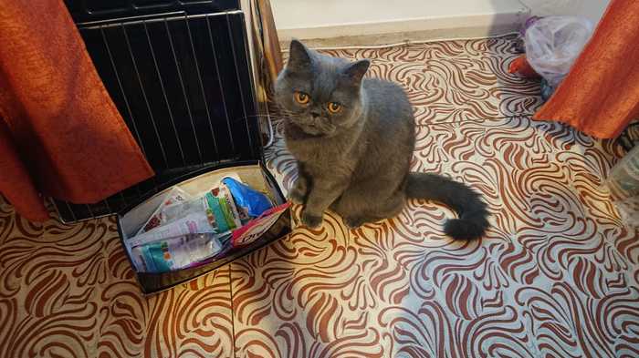 �������� ������. � ���� �� �����!