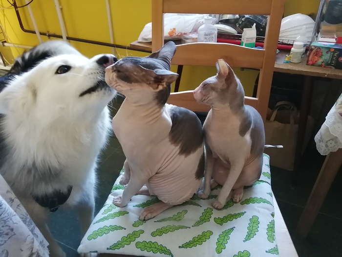 �� ��� ����� �����: ���� � ���