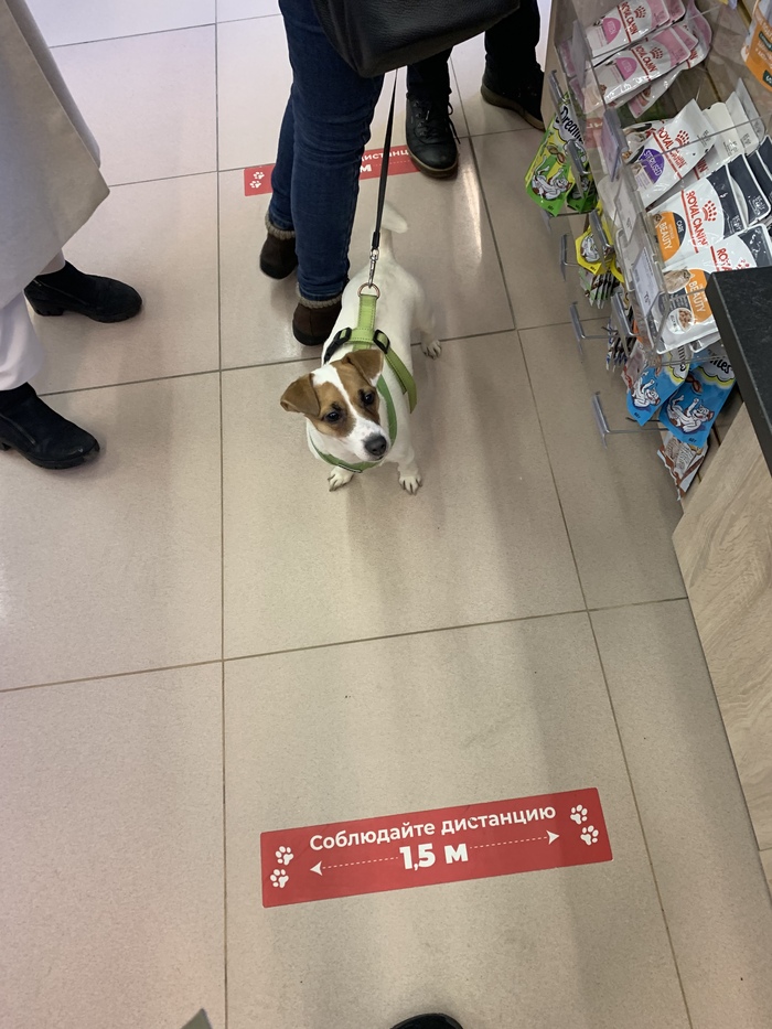 ������ !