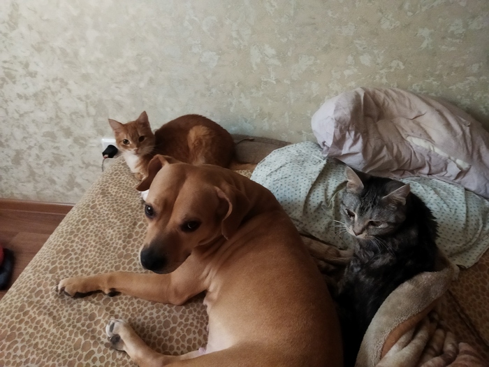 Поделюсь и я своей живностью