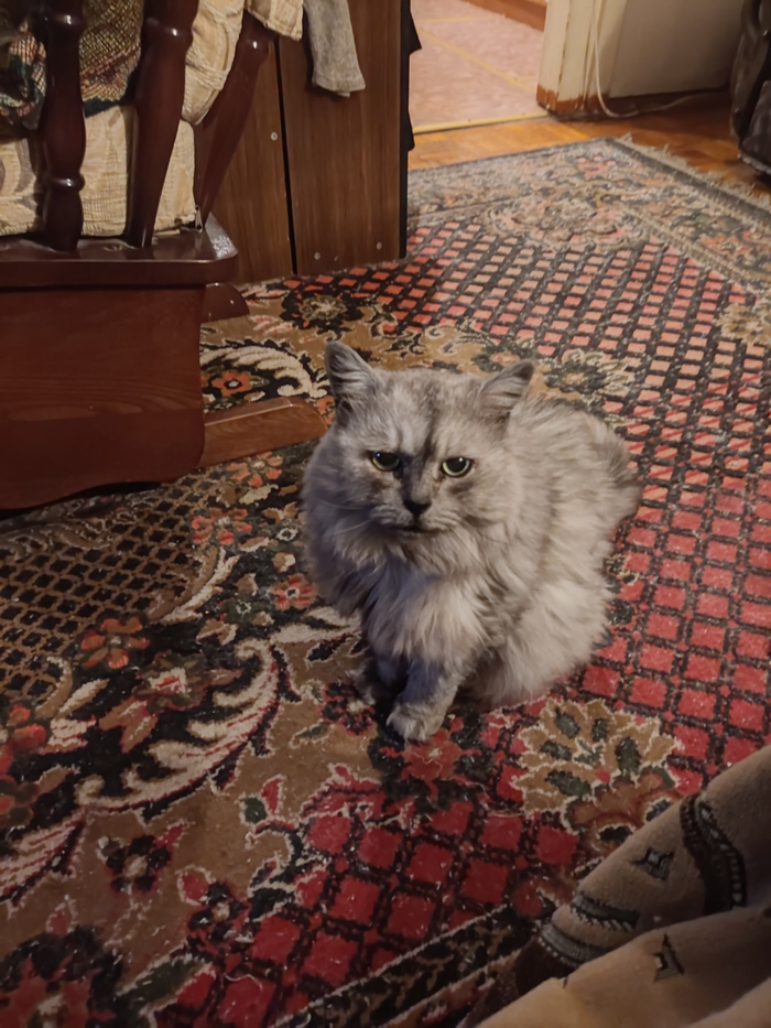 �� ��� ��� ���������� ����� ����� � � ������