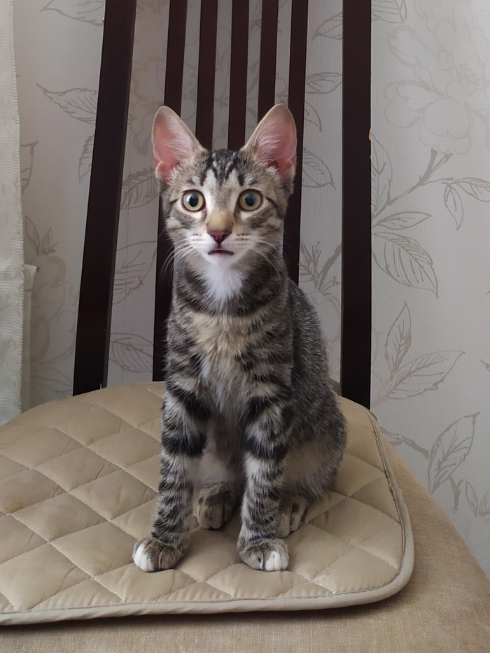 И я. Того же котомнения