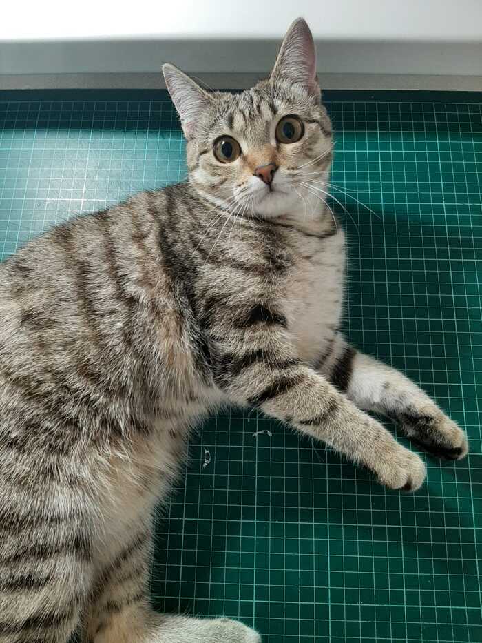 ��� ������ �����...