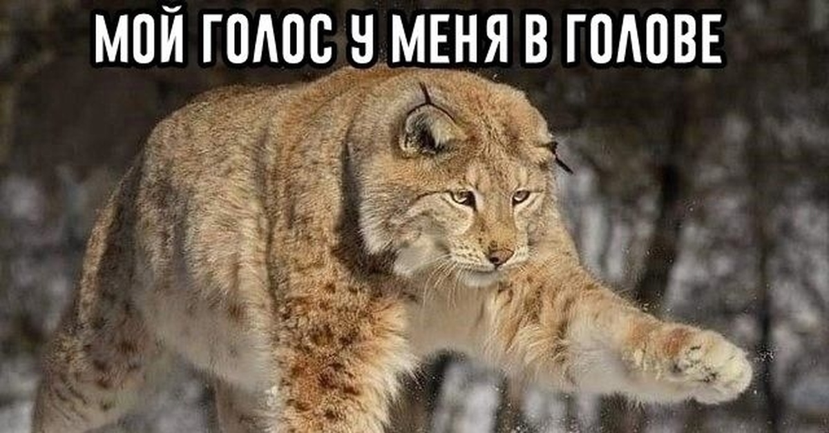 Тоненький голосок | Пикабу