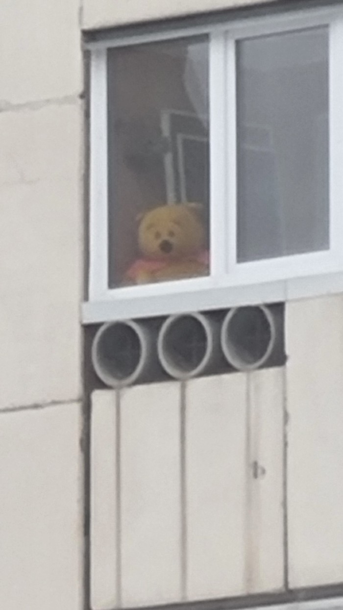 ����� ��������� ��������