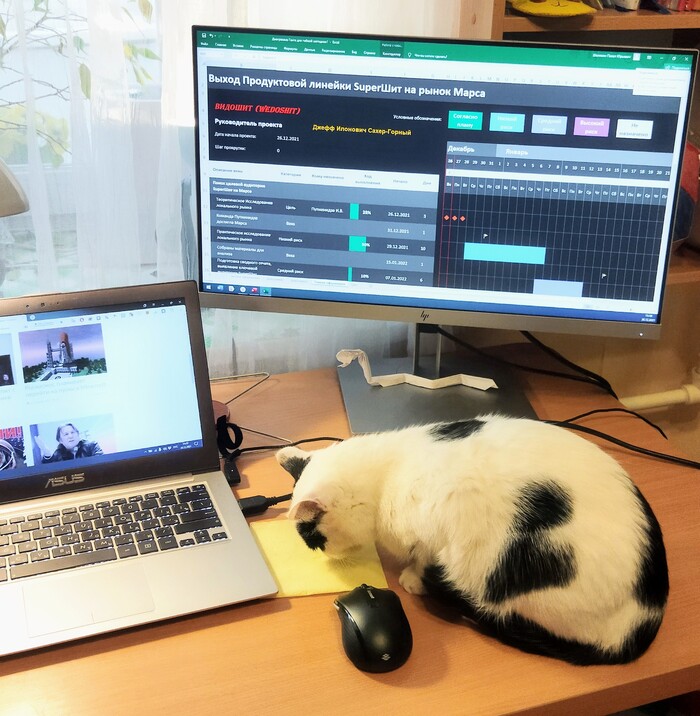 � ��� ������ �� ���� ����� ���������