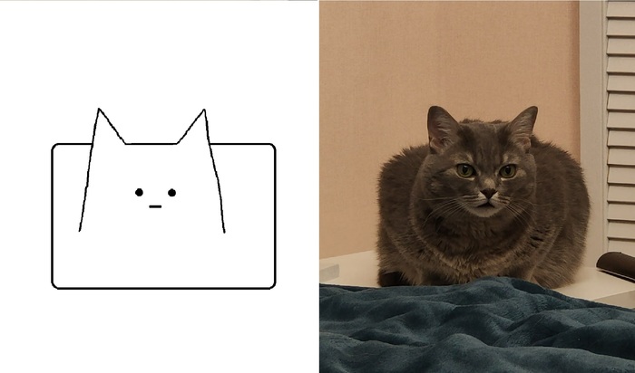 ���������������