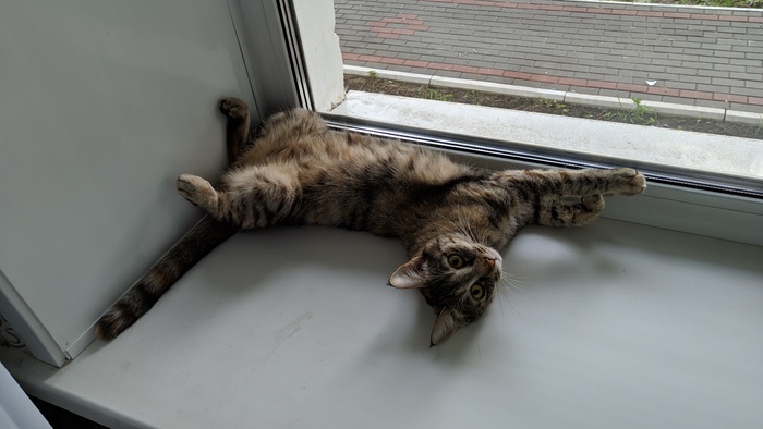 � ���� ��� ����. ���� ��� ���� �� ��������?