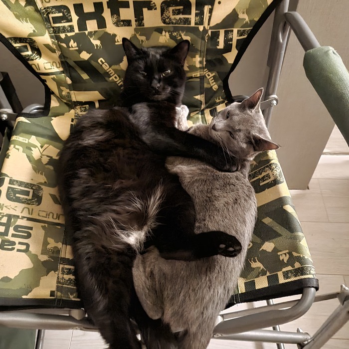 ��� ������ ��������� �� �����