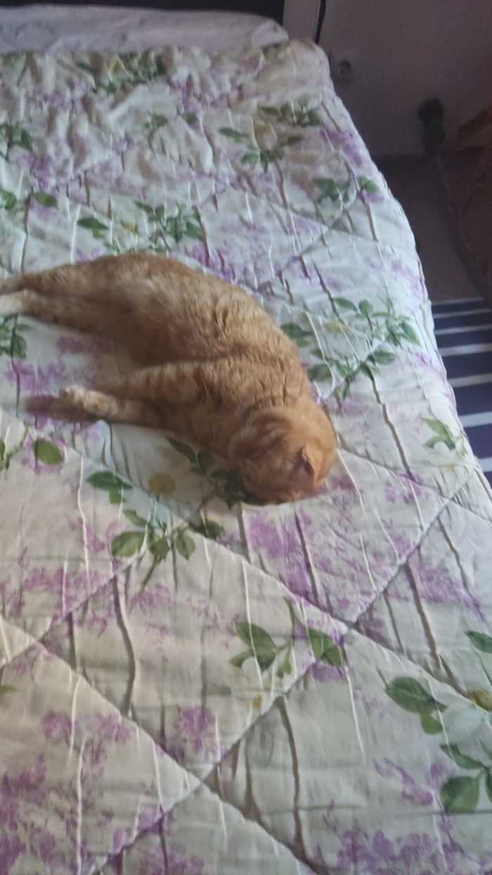 �� � ��� ��������������