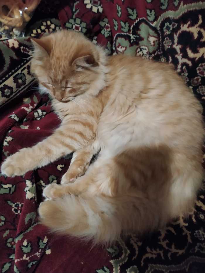 �� ������� ����- �� ����������