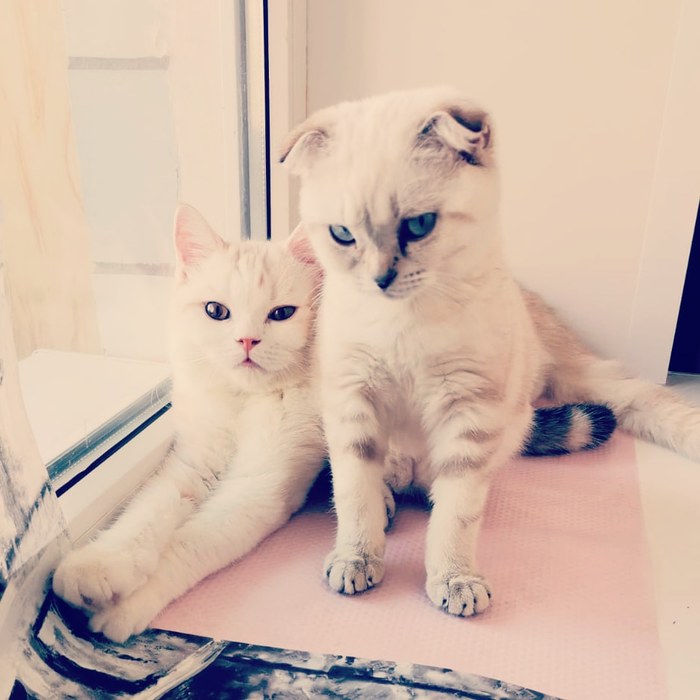 ������� � ������