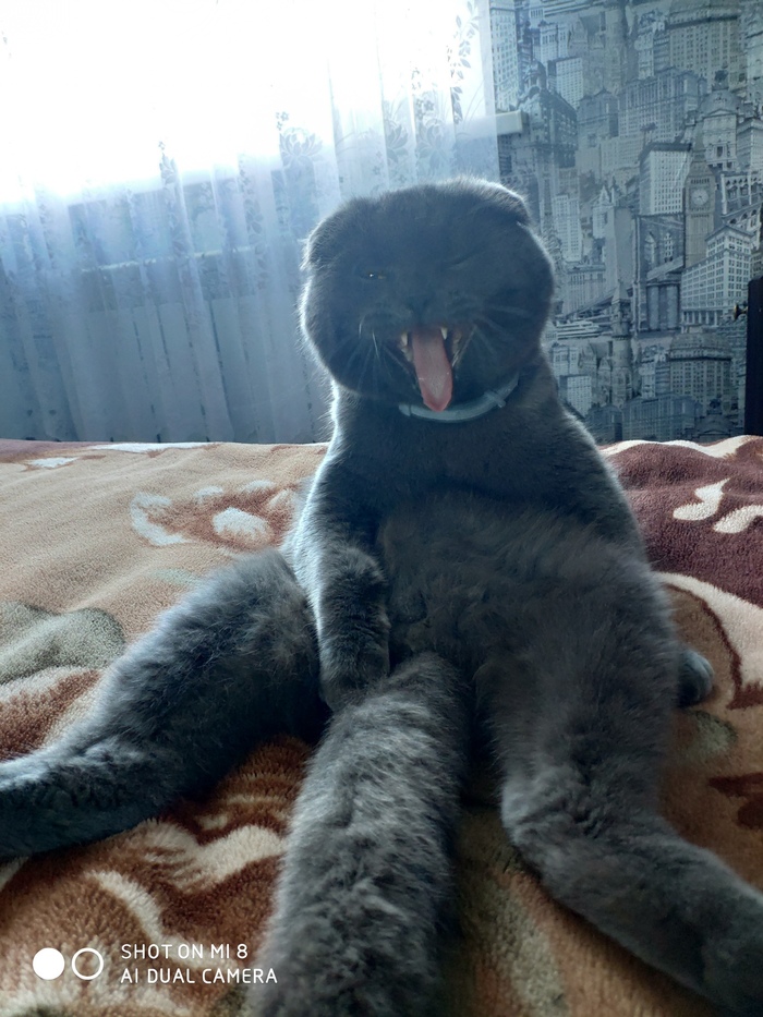  ? ,  !