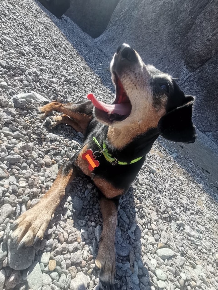 Здравствуйте, я ваша Кутя