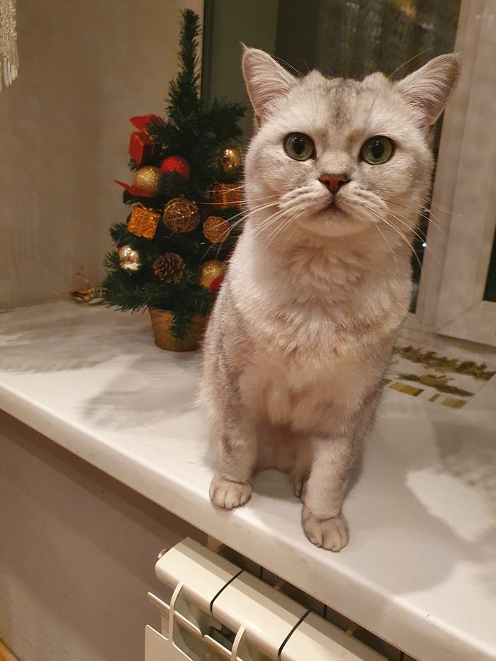 �������� � � ����� ������ ����� :)