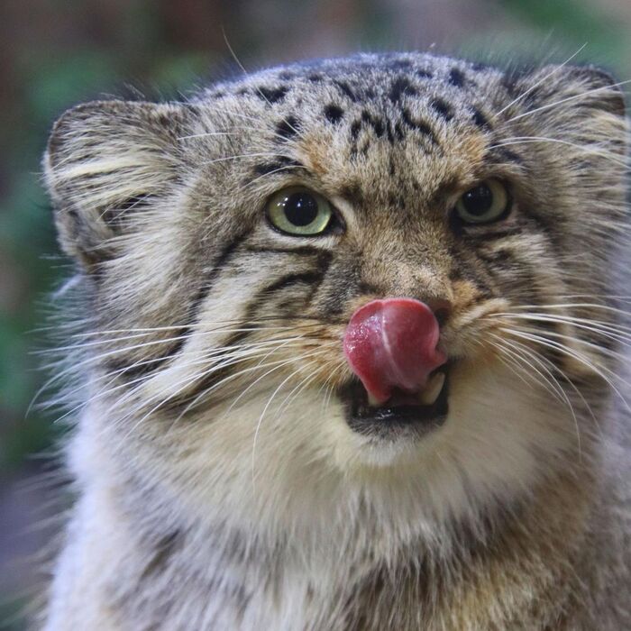 Вкусно было