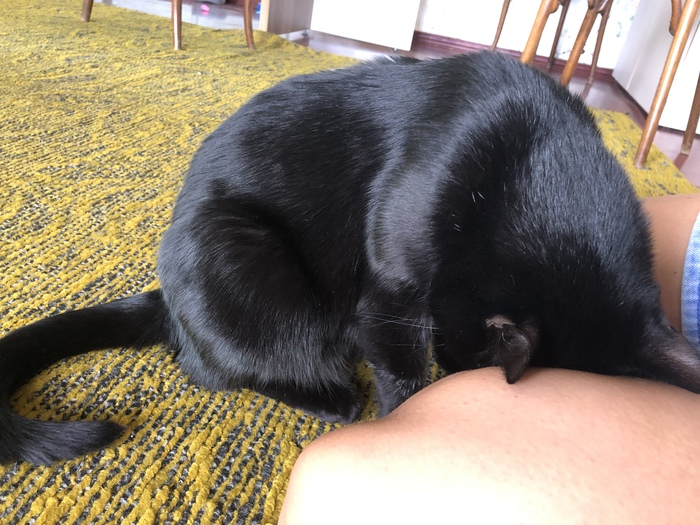     , , ,  , 